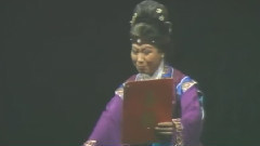 河北梆子 - 河北梆子 花木兰 4