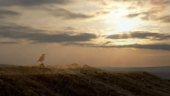 美丽中国系列 新疆奎屯河大峡谷