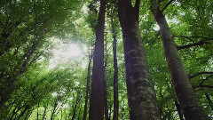 Per Difenderti Da Me