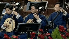 民乐群星 - 中华民乐 唢呐独奏 百鸟朝凤