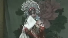 豫剧 - 打金枝 (2)