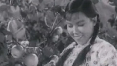 豫剧 - 豫剧三绝之朝阳沟 5