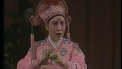豫剧 - 豫剧三绝之穆桂英挂帅 3