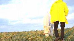 The Suburbs Of Exile