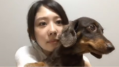 AKB48 - SHOWROOM Ayaka_Okada (20時05分00秒)