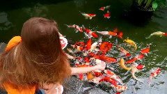 Саша Спилберг