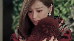 王心凌 - 我会一直爱你