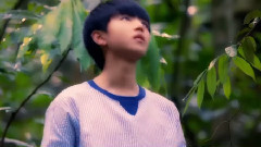 王俊凯 - 林惊羽王俊凯