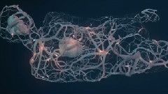 Lend Me Another Name