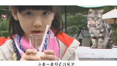 芦田爱菜 - 我要和猫咪去东京 12岁生日祝福