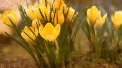 人无完人但要注意怎么做人