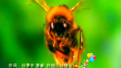 华语童星,原创 - 春天和孩子