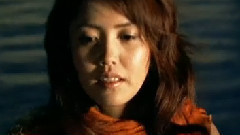 元千岁 - ワダツミの木