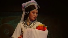 豫剧 - 程婴救孤5