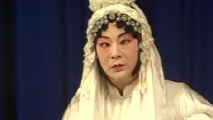 豫剧 - 秦雪梅1