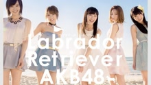 AKB48 - ラブラドール・レトリバー 现场版 16/06/18
