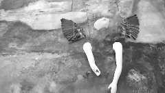 Marissa Nadler - Janie In Love