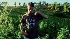 ELEGANCIA Y CONSTANCIA