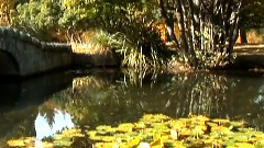 环游世界之新西兰 第6集