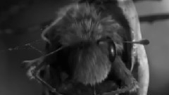 Time Compression Island (Original Mix)