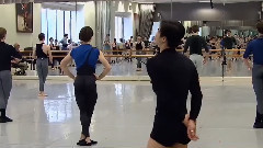 World Ballet Day