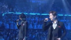 フラワー & 薔薇と太陽