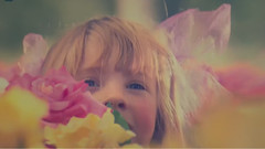 Pink - Just Like Fire