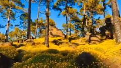 Another Earth (Uplifting Mix)