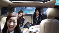 子瑜尤达的心不能轻易交给他