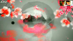 华语童星 - 小小船