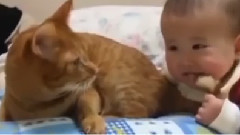 Star people bully baby cat, and no one tube