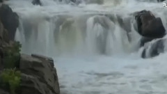 Beethoven Allegretto