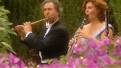 安德烈瑞欧作品