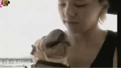 G-Dragon(BigBang) - 献给所有爱GD的 饭制版