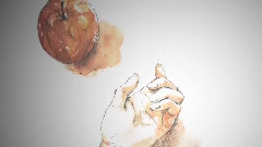 Nico,动漫专属 - 小夜子