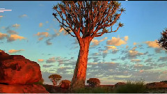 As It Was Meant To Be