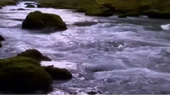 Giovanni Marradi - Shadows