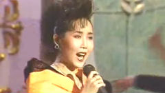 胡月 - 跟着太阳走