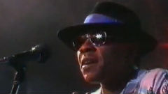 Love Really Hurts Without You