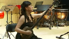 民乐群星 - 正、反调万年欢