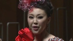 张涛 - 在希望的田野上