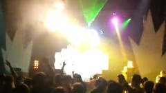 Lion Love Kochnev Reflection