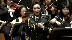 雷佳 - 病中观窗外竹感赋