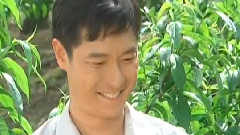 再会无缘的情人