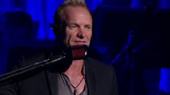 Sting - Mad About You