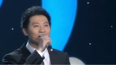 汤子星 - 圆圆的思念