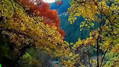 Bandari,轻音乐,音乐短片,风景 - Irish Lullaby