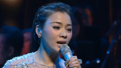 陈思思 - 新不了情