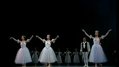 芭蕾舞<仙女们>