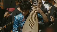 民乐群星 - 花好月圆